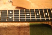 Washburn N4 USA left-11.jpg