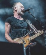 Sting 4.jpg
