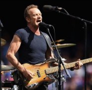 Sting 5.jpg