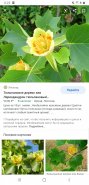 Screenshot_20210227-002400_Chrome.jpg