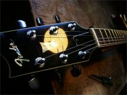 F.Robben Ford_83 ELITE-36.jpg