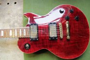 Harley Benton LP-12.jpg