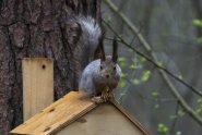 DSC_0892_1.jpg