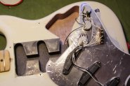 F.Squier Strat_1984-15.jpg