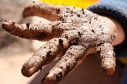 Dirty fingers.jpg