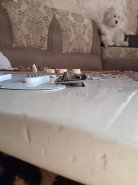 IMG20210825080128.jpg