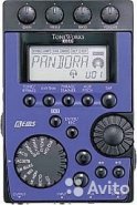 Korg pandora PX4.jpg