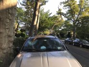 2020-08-05 07.41.07.jpg