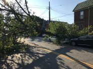 2020-08-05 07.54.18.jpg