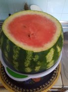 IMG_20210913_130734.jpg