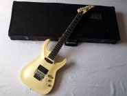 ESP-Horizon-Custom.jpg