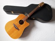 Takamine-SantaFe.jpg