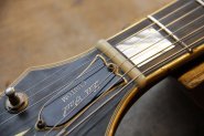 Gibson LPC76 RW-18.jpg