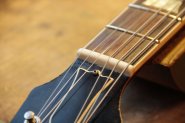 GIBSON R8-22.jpg
