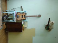 DSC06937.jpg
