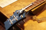 HARLEY BENTON_PRS-2.jpg
