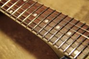 HARLEY BENTON_PRS-11.jpg