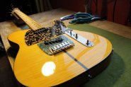TELECASTER-6.jpg