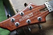 ESP EDWARDS-2.jpg