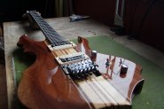 ESP EDWARDS-4.jpg
