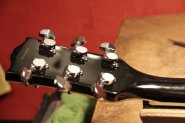 Tokai LP-5.jpg