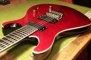 PRS SE TORERO-2.jpg
