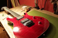 PRS SE TORERO-5.jpg