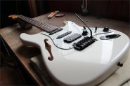 Warmoth Stratocaster Ash-6.jpg