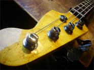 WarmothBass-1.jpg