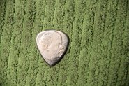 IMG_0420.jpg