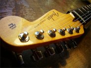 F.strat CS 2010-14.jpg