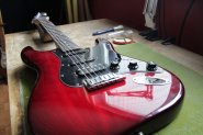 F.Strat Deluxe 2006-2.jpg
