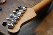 Strat BRANDTON-7.jpg