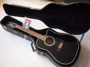 Takamine-EF381-12.jpg