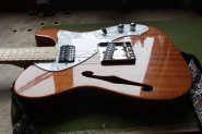 FGN TELECASTER THINLINE-3.jpg