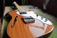 FGN TELECASTER THINLINE-5.jpg