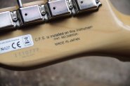 FGN TELECASTER THINLINE-7.jpg