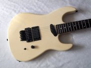 bcrich-gunslinger-wh.jpg