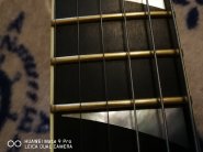 IMG_20220519_163855.jpg