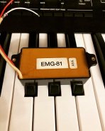 emg81.jpg