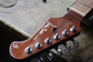 Harley Benton PRO Series-1.jpg