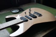 Harley Benton PRO Series-2.jpg