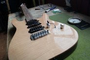 Harley Benton PRO Series-3.jpg