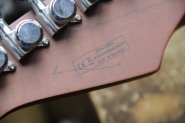 Harley Benton PRO Series-8.jpg