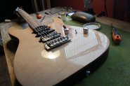 Harley Benton PRO Series-12.jpg