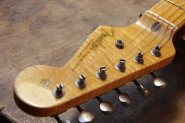 F.STRAT CS LE_2015-1.jpg