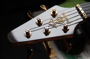 ALEMBIC_1.jpg