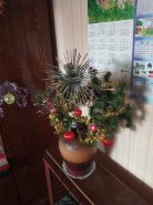 IMG_20221231_103141_825.jpg