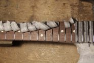 F.Strat MEX 2006-5.jpg