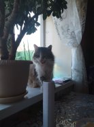 IMG20230125090609.jpg